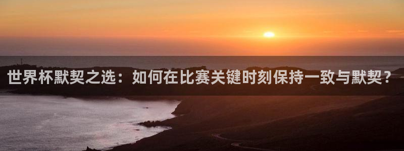 世界杯足球赛：世界杯默契之选：如何在比赛关键时刻保持一致与默契？