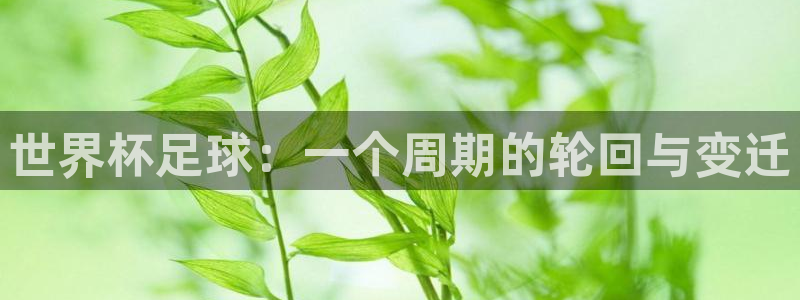 世界杯2026赛程：世界杯足球：一个周期的轮回与变迁