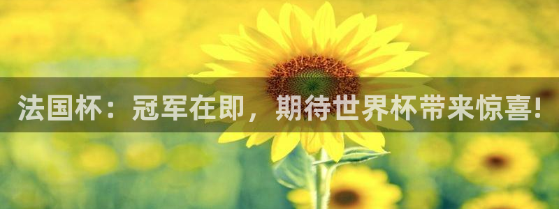 英格兰联赛杯直播：法国杯：冠军在即，期待世界杯带来惊喜!