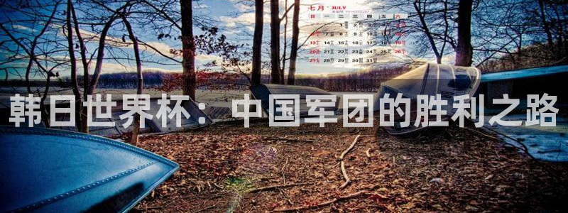 2026年世界杯对阵图：韩日世界杯：中国军团的胜利之路
