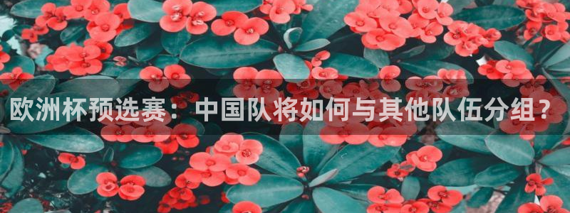 澳门世界杯直播：欧洲杯预选赛：中国队将如何与其他队伍分组？