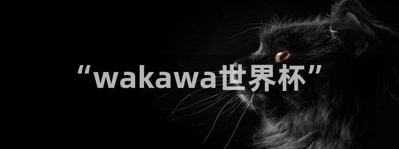 英格兰联赛杯直播：“wakawa世界杯”