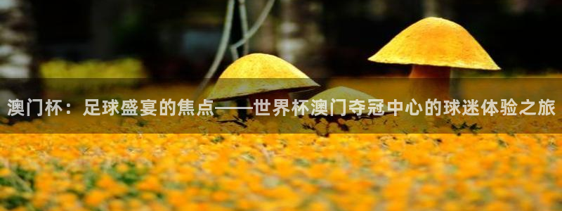 世界杯赛程2026：澳门杯：足球盛宴的焦点——世界杯澳门夺冠中心的球迷体验之旅
