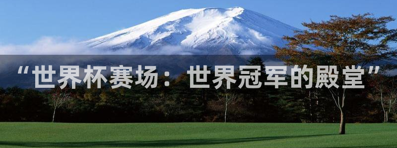 世界杯足球直播：“世界杯赛场：世界冠军的殿堂”