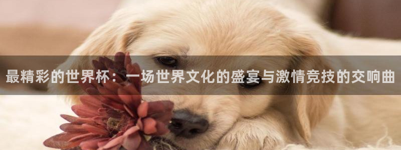 2026世界杯买球：最精彩的世界杯：一场世界文化的盛宴与激情竞技的交响曲