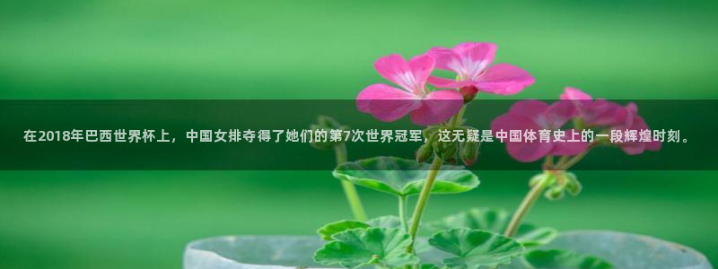 世界杯欧洲预选赛赛程：在2018年巴西世界杯上，中国女排夺得了她们的第7次世界冠军，这无疑是中国体育史上的一段辉煌时刻。