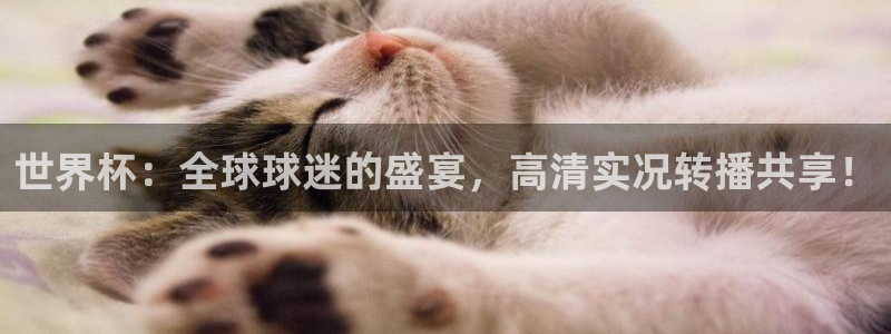 世界杯系列赛：世界杯：全球球迷的盛宴，高清实况转播共享！