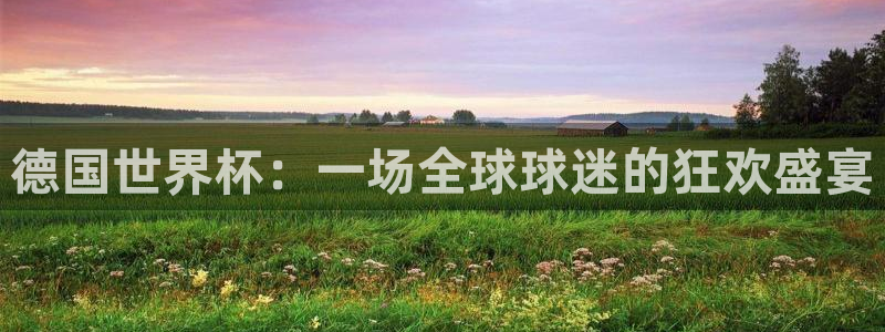 2006年世界杯冠军：德国世界杯：一场全球球迷的狂欢盛宴