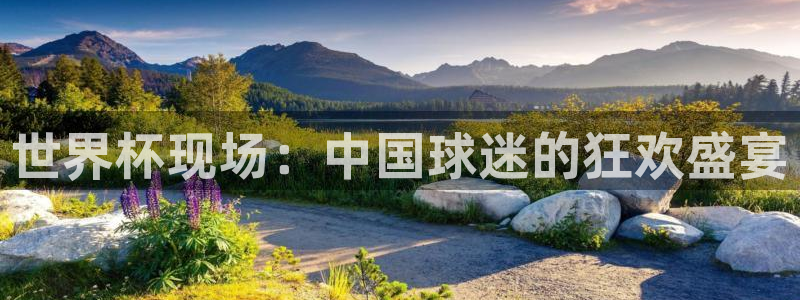 2026世界杯亚洲预选赛赛程：世界杯现场：中国球迷的狂欢盛宴