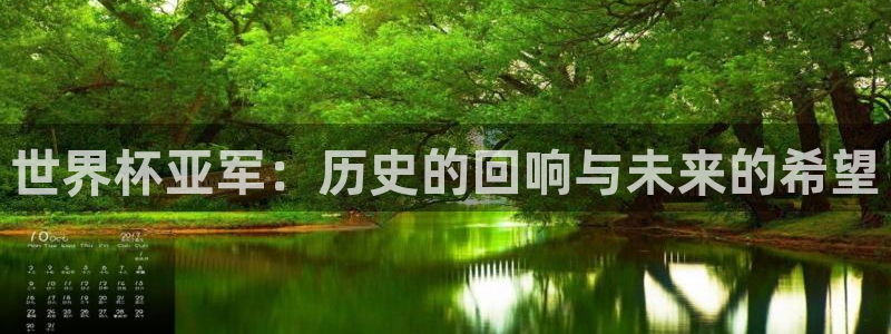 世预赛欧洲赛程表：世界杯亚军：历史的回响与未来的希望
