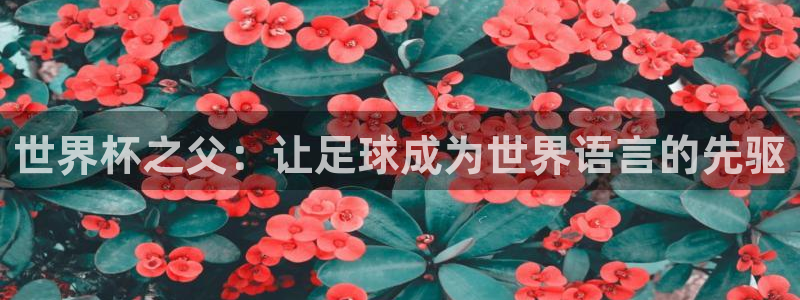 世界杯预选赛欧洲区赛程：世界杯之父：让足球成为世界语言的先驱